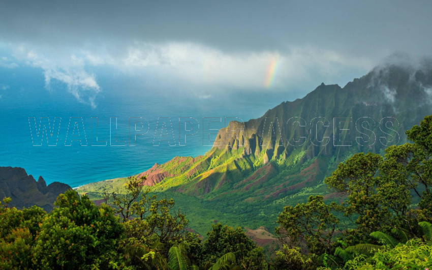 Hawaii Mountain