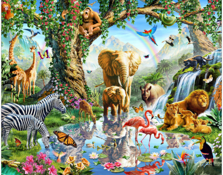 Animals